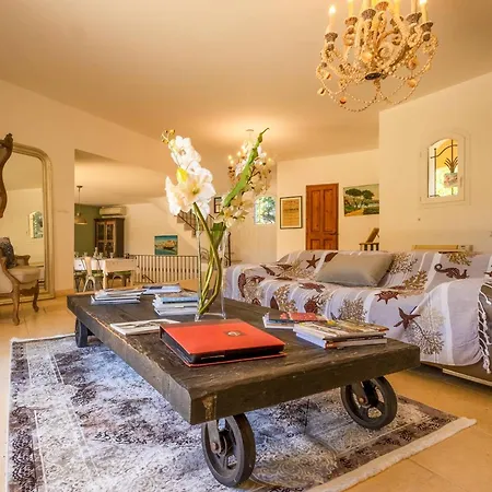 Provencale - 10 Pers. - Fr-1-816-48 * Bormes-les-Mimosas